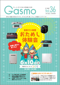 Gasmo Vol.36