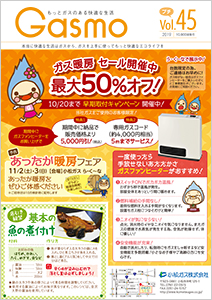 Gasmo Vol.45